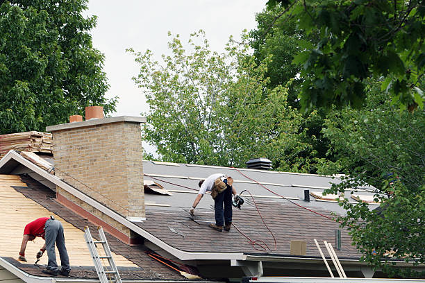 Roof Waterproofing Services in Pierce, CO